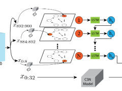 Egocentric Graph