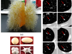 Exploring Synthetic Datasets