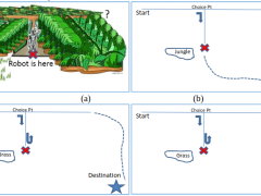 Integration of Cognitive and metacognitive processes.