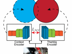 Context In Human Action